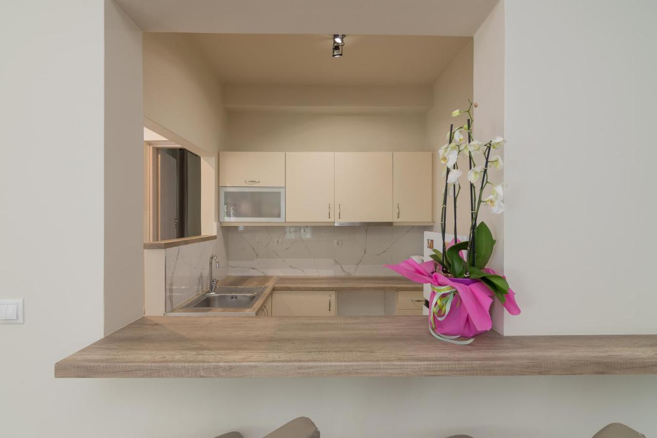Renovated Panorama Loft: Athens Terrace Gem Apartment Exterior foto